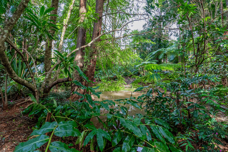 57 Treehaven Way, MALENY, QLD 4552