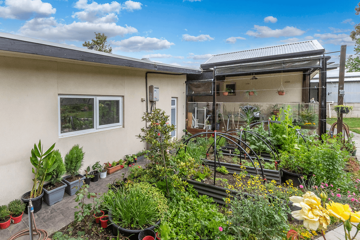 24 Albert Road, MOUNT BARKER, SA 5251