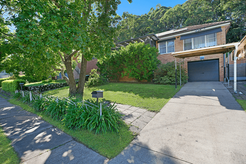 19 Ashbury Street, Adamstown Heights, NSW 2289