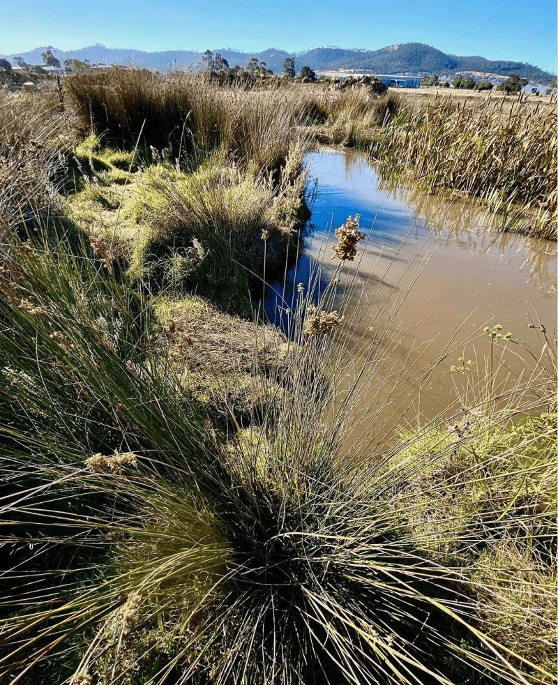 Lot 130/Off Actaeon Street, Rokeby, TAS 7019