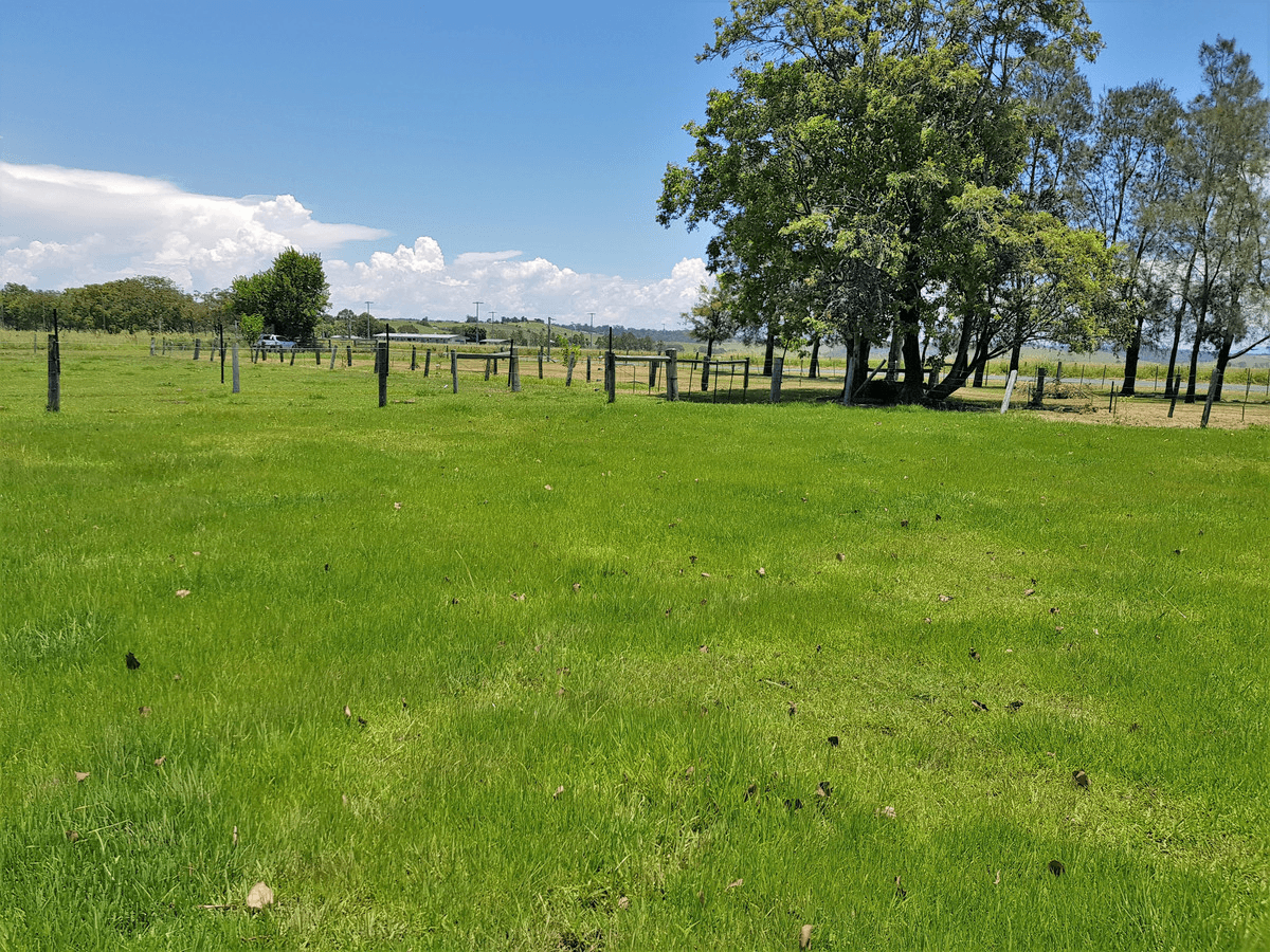 125 Skinner Street, South Grafton, NSW 2460