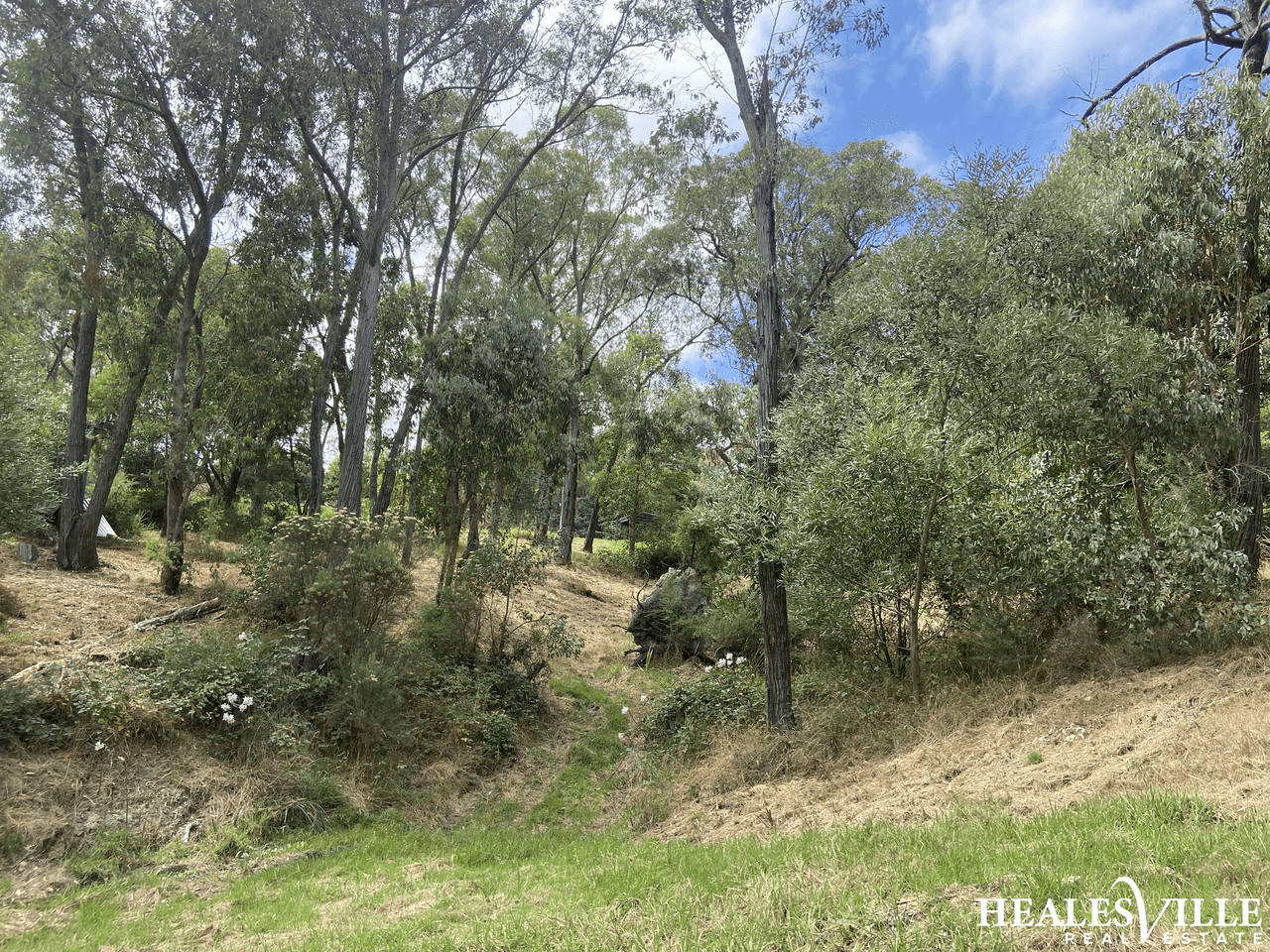 48 Lowes Road, CHUM CREEK, VIC 3777