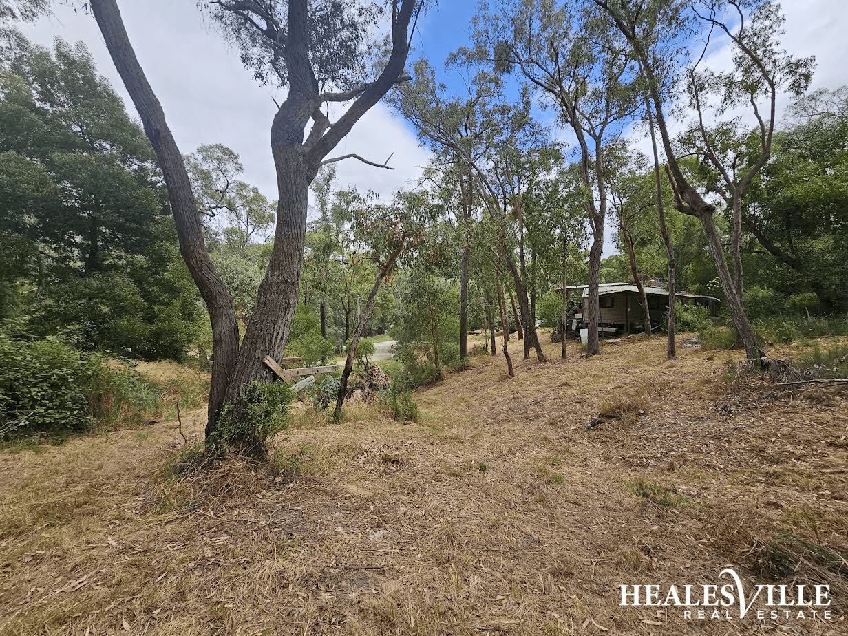 48 Lowes Road, CHUM CREEK, VIC 3777