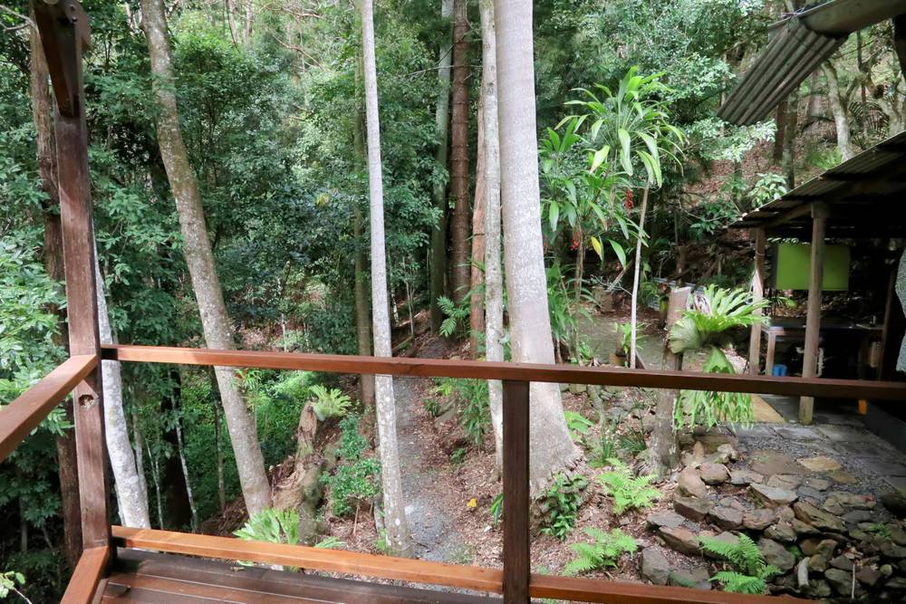 321 Blackhorse Road, EDEN CREEK, NSW 2474