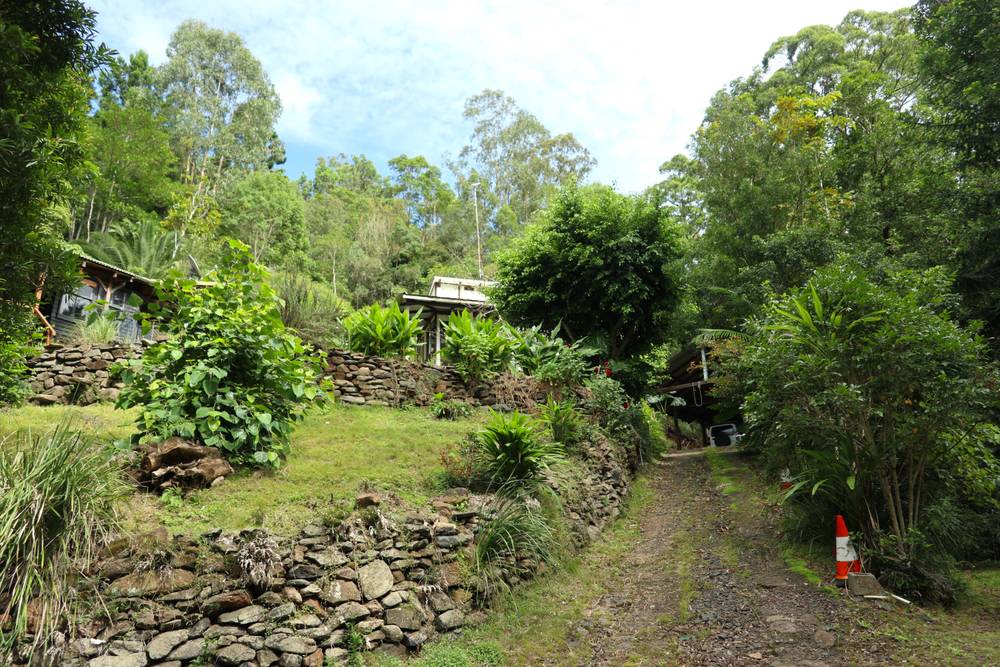 321 Blackhorse Road, EDEN CREEK, NSW 2474