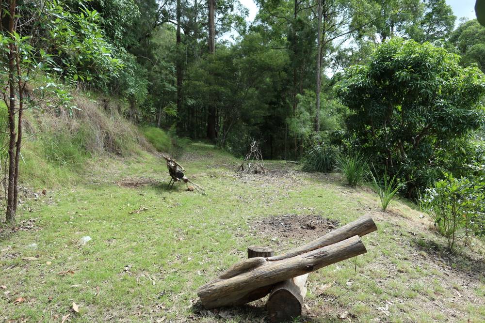 321 Blackhorse Road, EDEN CREEK, NSW 2474