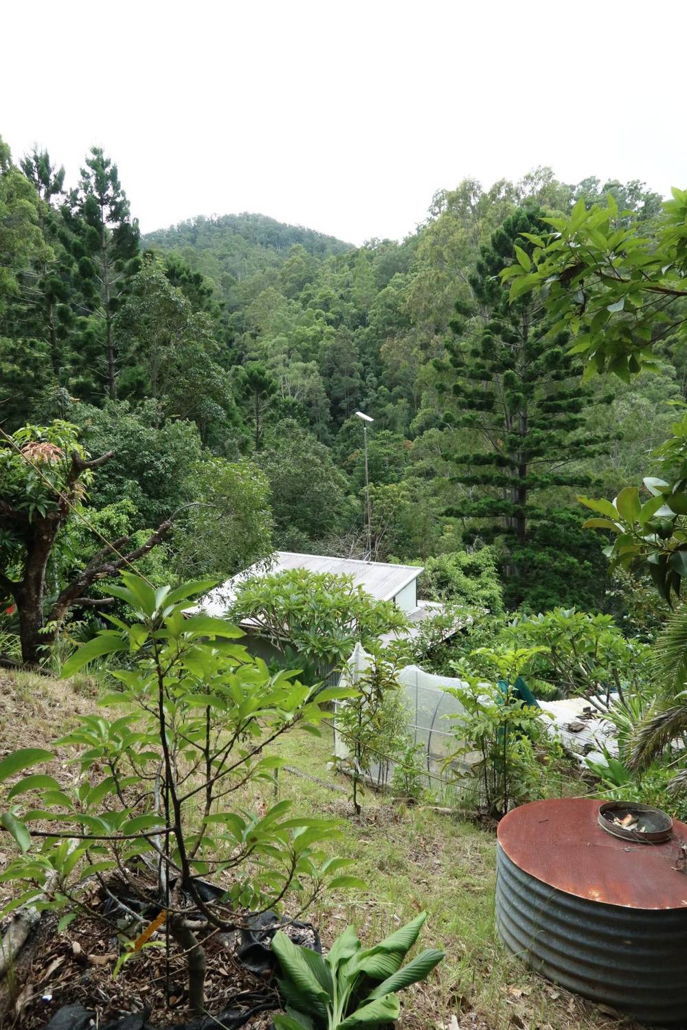 321 Blackhorse Road, EDEN CREEK, NSW 2474