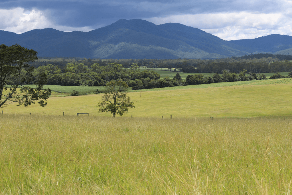 'HILLVIEW' FOR SALE BY AUCTION 20th MAY 2021, UPPER BARRON, QLD 4883