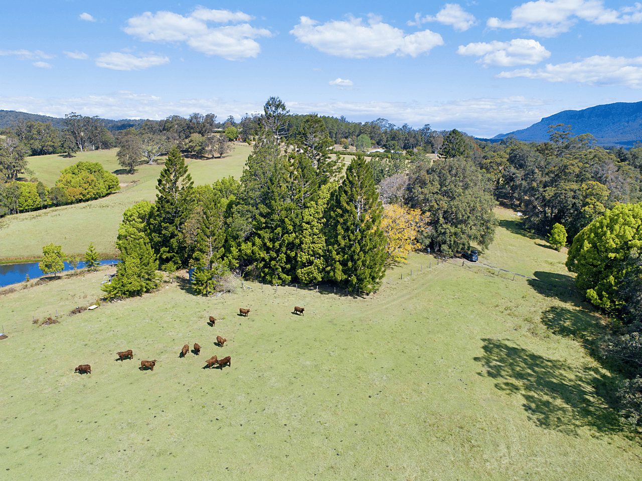 1718 Byrill Creek Road, BRAYS CREEK, NSW 2484