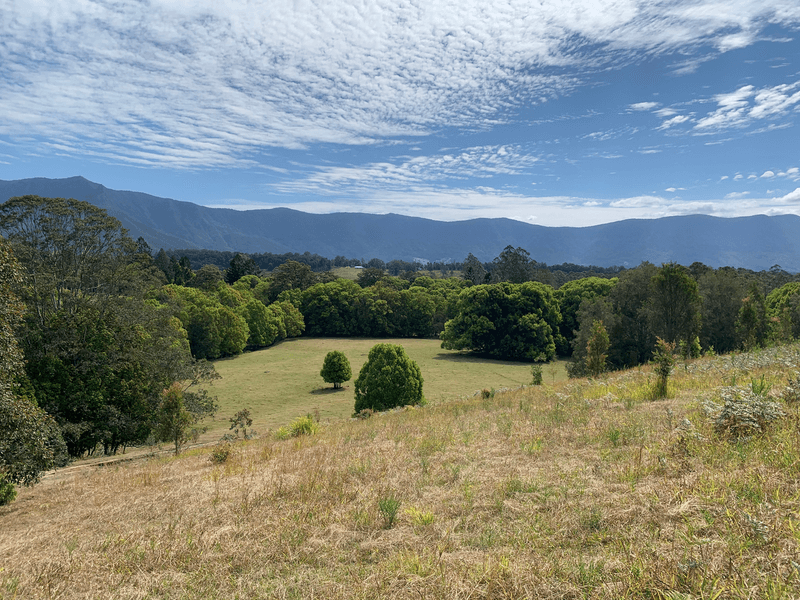 1718 Byrill Creek Road, BRAYS CREEK, NSW 2484