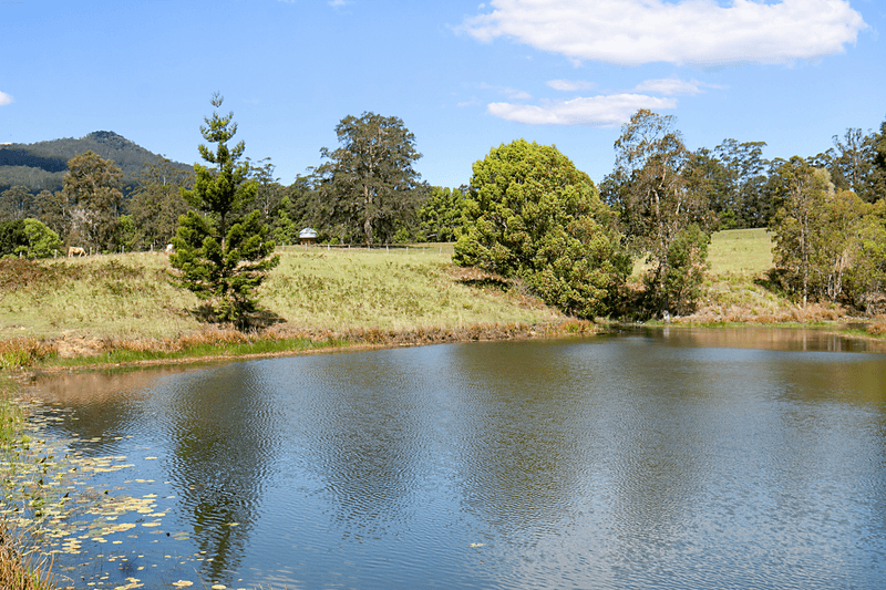 1718 Byrill Creek Road, BRAYS CREEK, NSW 2484