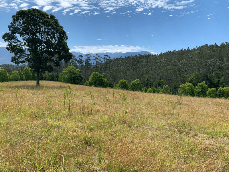 1718 Byrill Creek Road, BRAYS CREEK, NSW 2484