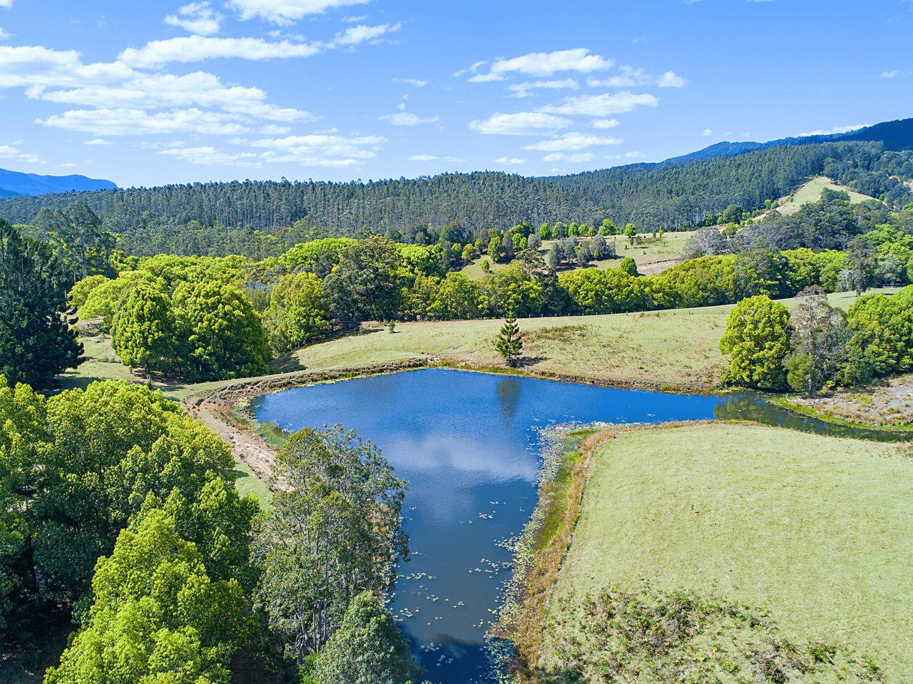 1718 Byrill Creek Road, BRAYS CREEK, NSW 2484