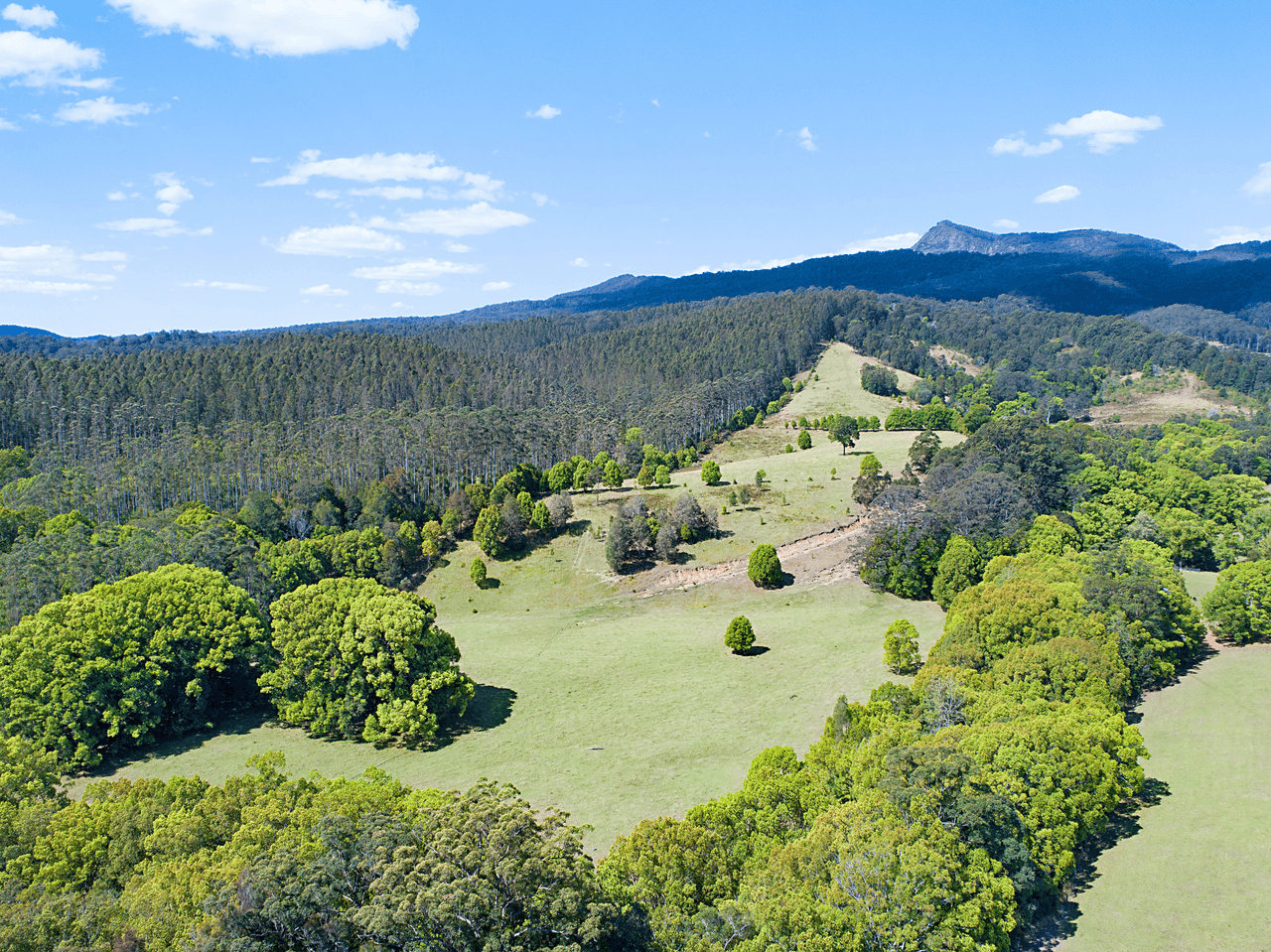 1718 Byrill Creek Road, BRAYS CREEK, NSW 2484