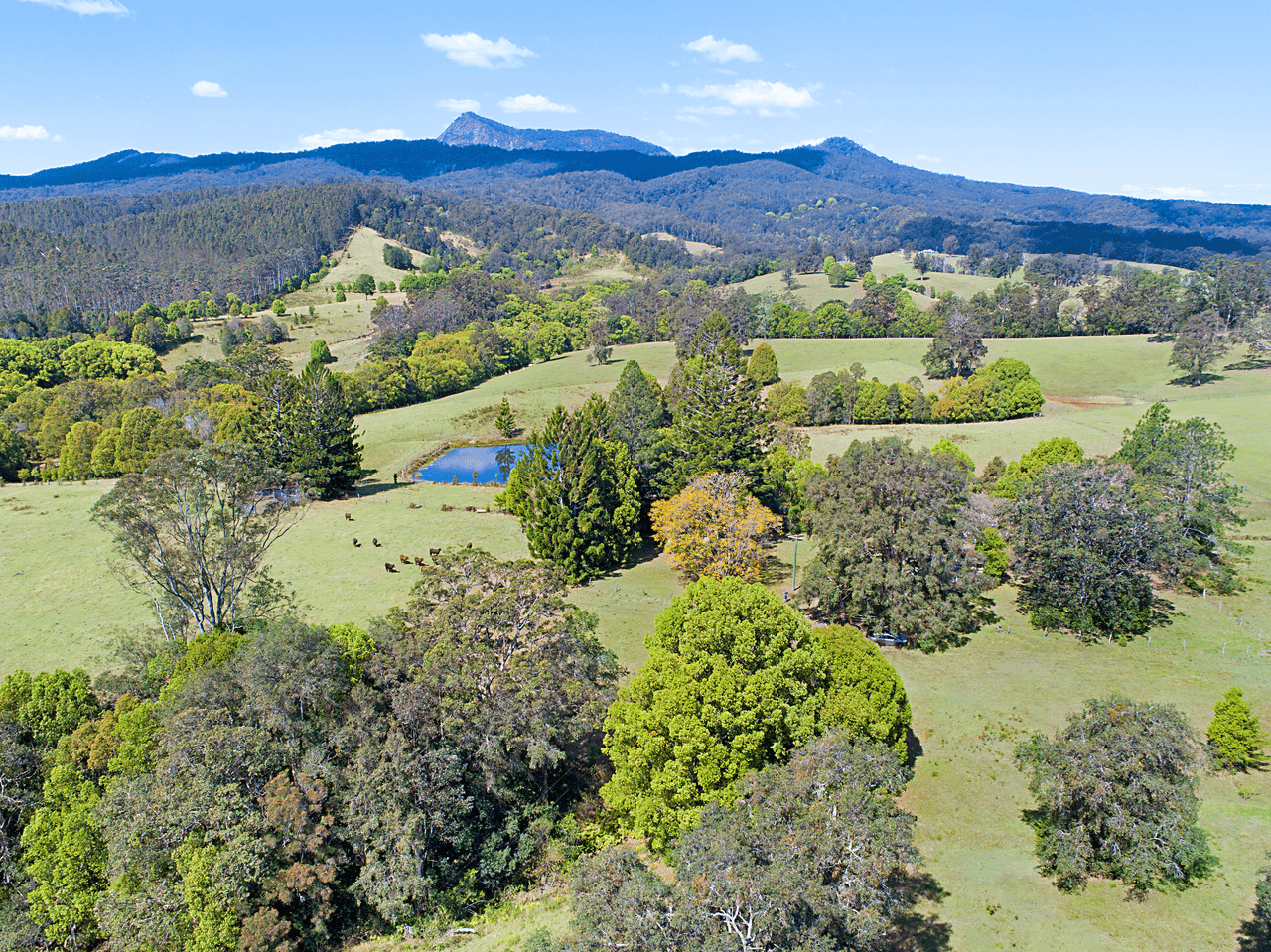 1718 Byrill Creek Road, BRAYS CREEK, NSW 2484