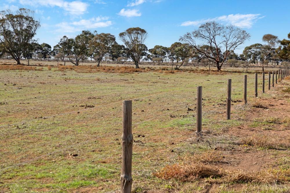 429 Langhorne Creek Road, Belvidere, SA 5255