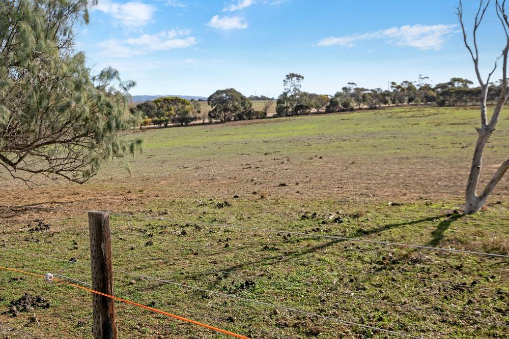 429 Langhorne Creek Road, Belvidere, SA 5255