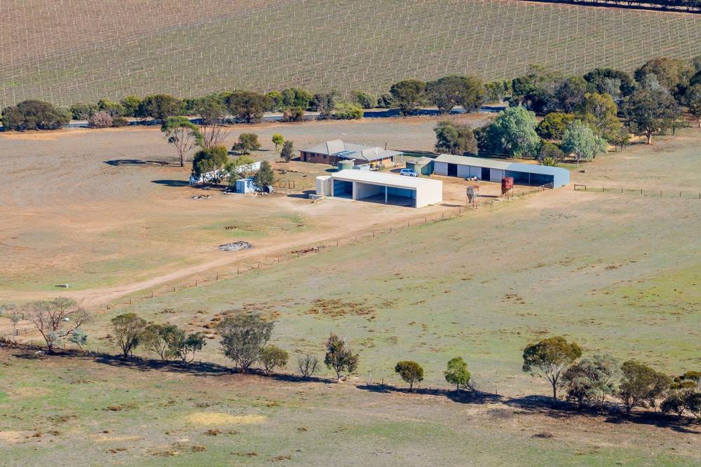 429 Langhorne Creek Road, Belvidere, SA 5255
