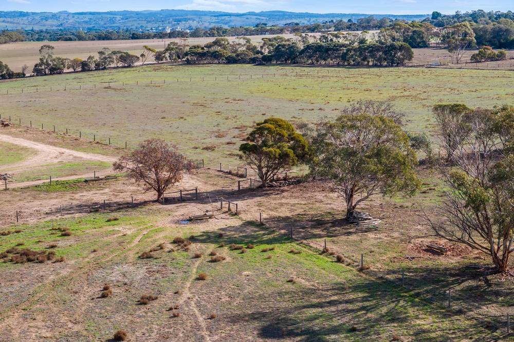 429 Langhorne Creek Road, Belvidere, SA 5255