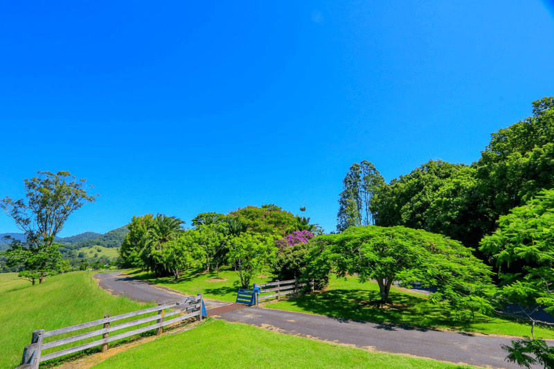 159 Nobbys Creek Road, NOBBYS CREEK, NSW 2484