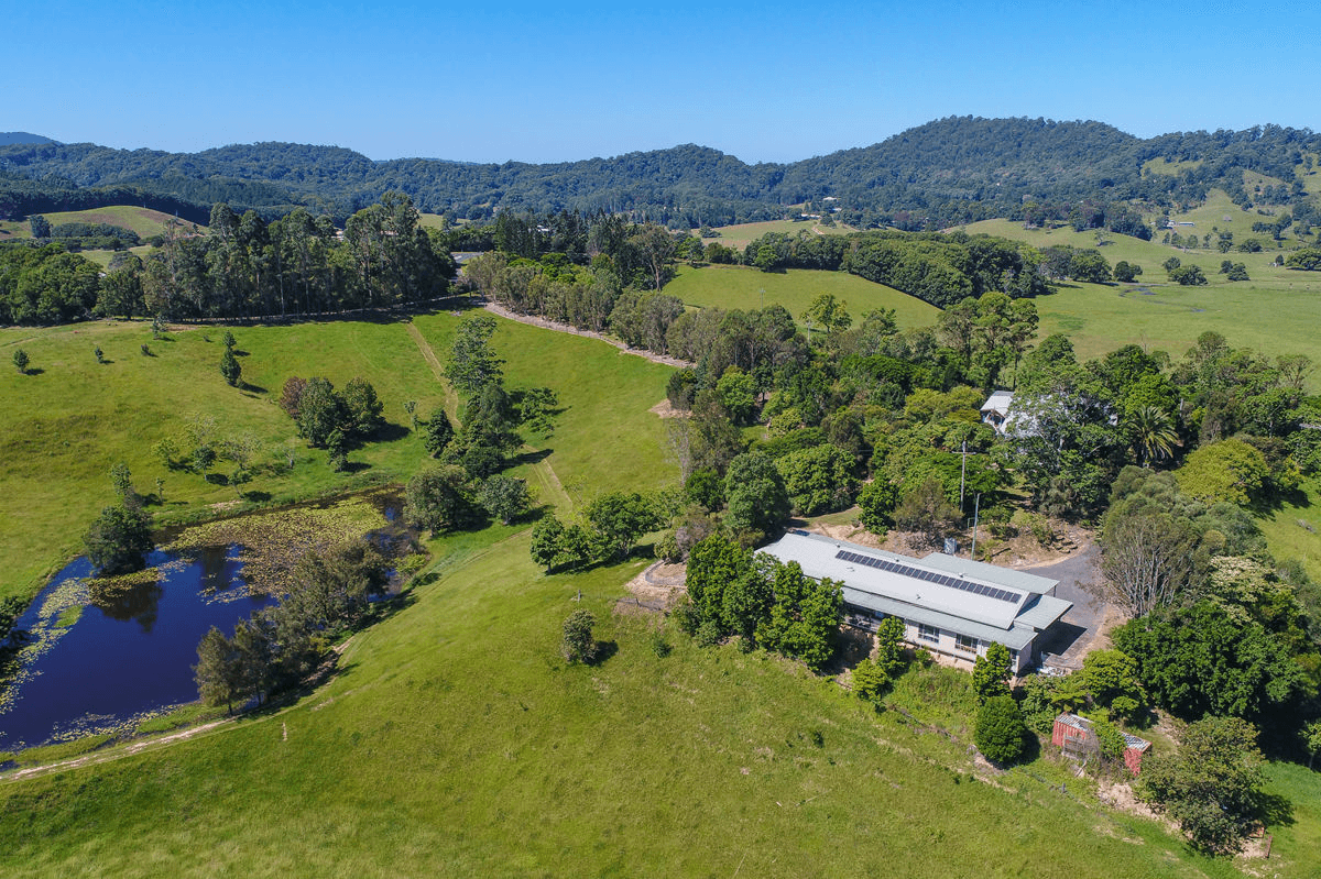 159 Nobbys Creek Road, NOBBYS CREEK, NSW 2484