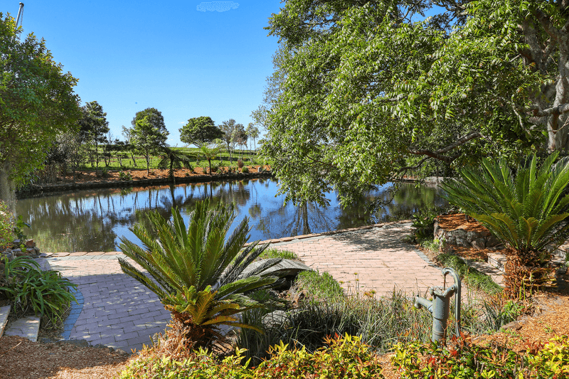 890 Dog Trap Road, OURIMBAH, NSW 2258