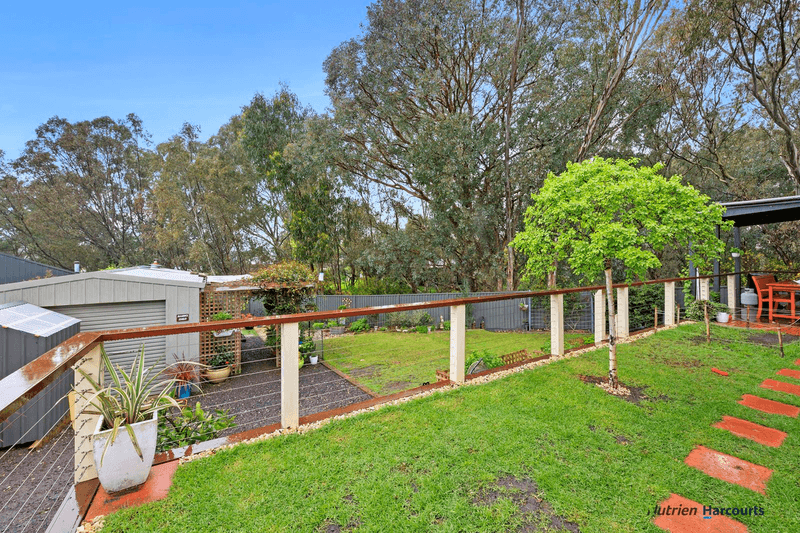 35 Pendlebury Street, ALEXANDRA, VIC 3714