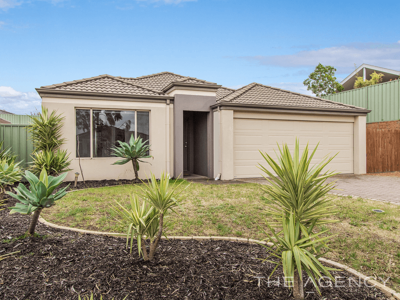 35 Blaxland Terrace, Baldivis, WA 6171