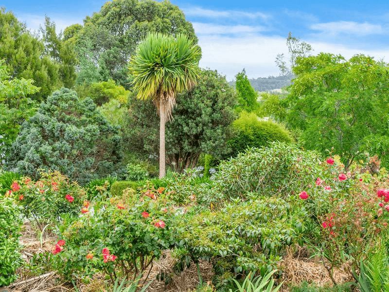 7380 Channel Highway, CYGNET, TAS 7112