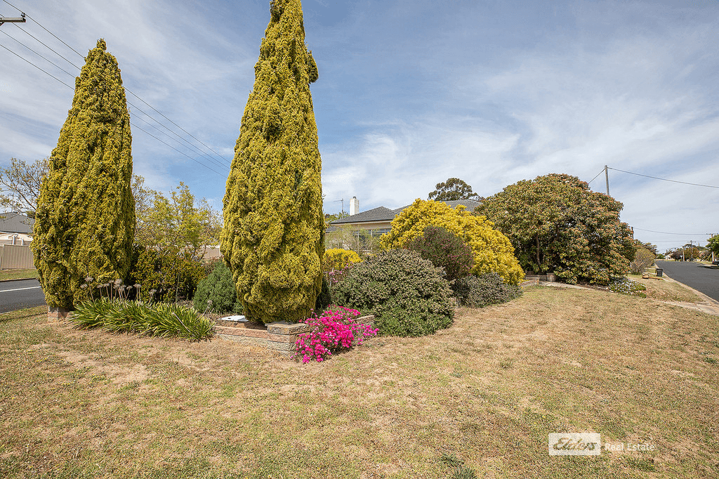 38 JENKINS Terrace, NARACOORTE, SA 5271