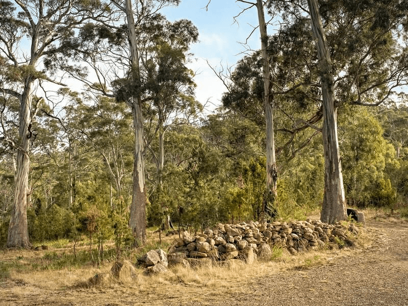 101 Scarrs Road, GARDEN ISLAND CREEK, TAS 7112