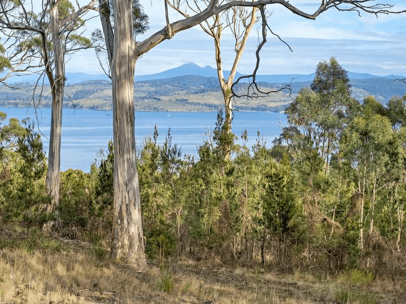 101 Scarrs Road, GARDEN ISLAND CREEK, TAS 7112