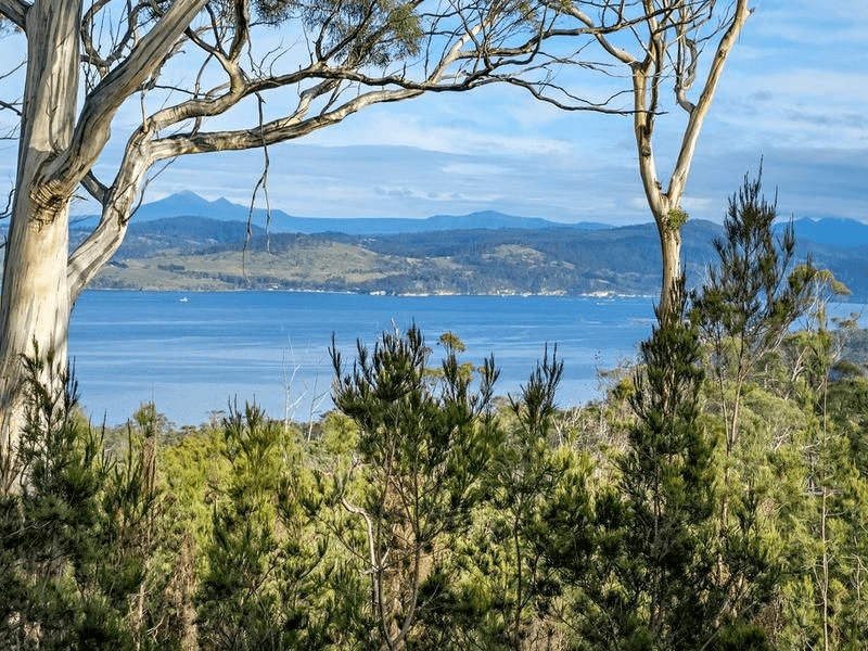 101 Scarrs Road, GARDEN ISLAND CREEK, TAS 7112