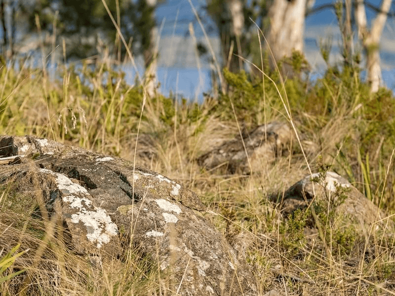 101 Scarrs Road, GARDEN ISLAND CREEK, TAS 7112