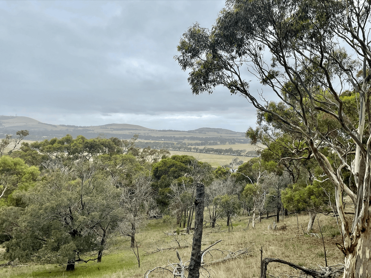 350 O'Neils Lane, ANAKIE, VIC 3213