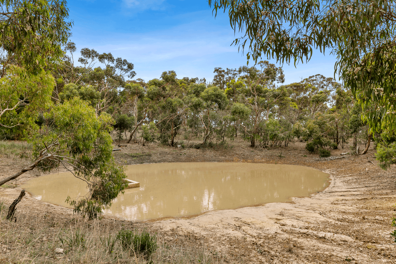 350 O'Neils Lane, ANAKIE, VIC 3213