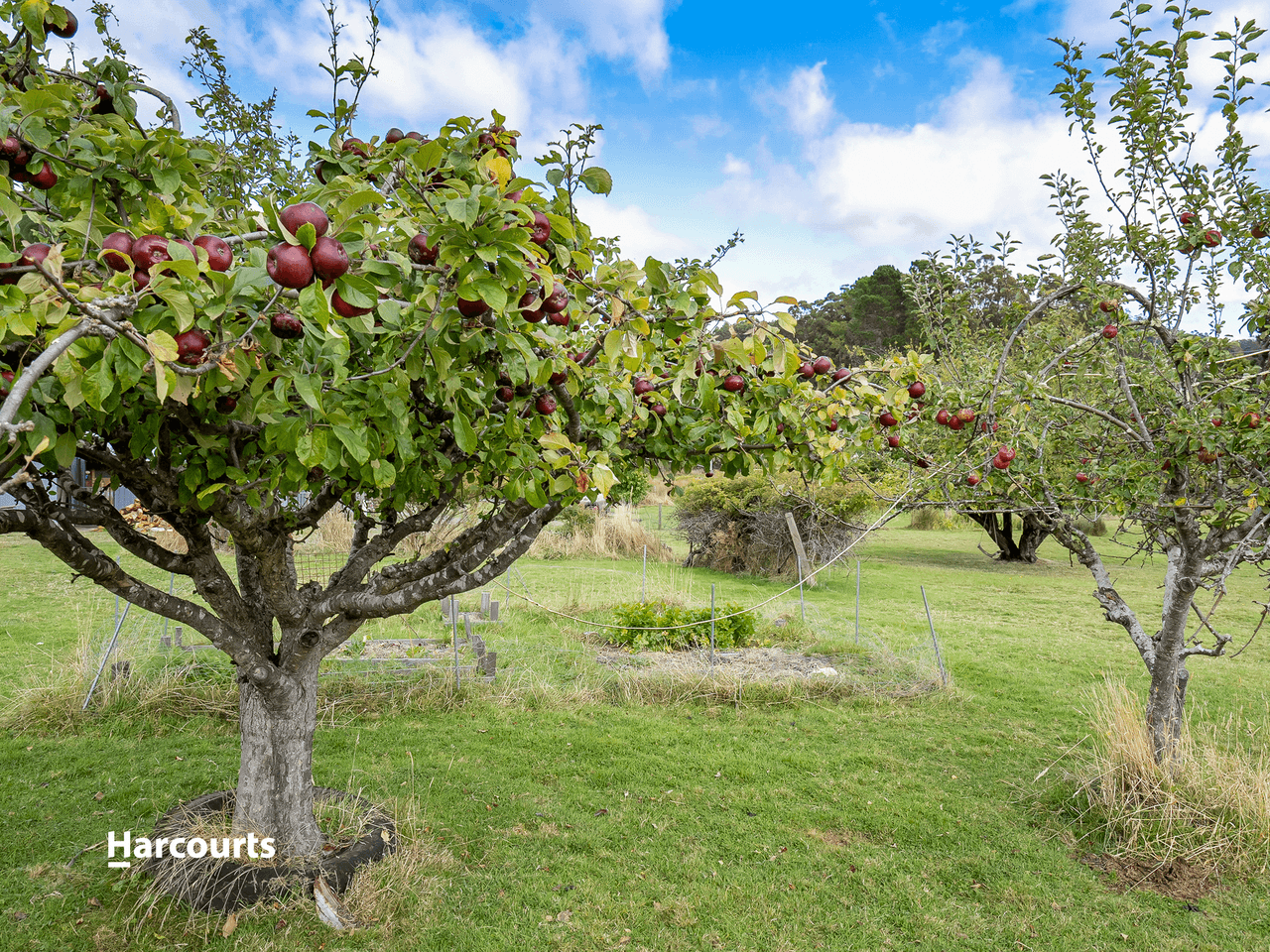 6303 Huon Highway, GLENDEVIE, TAS 7109