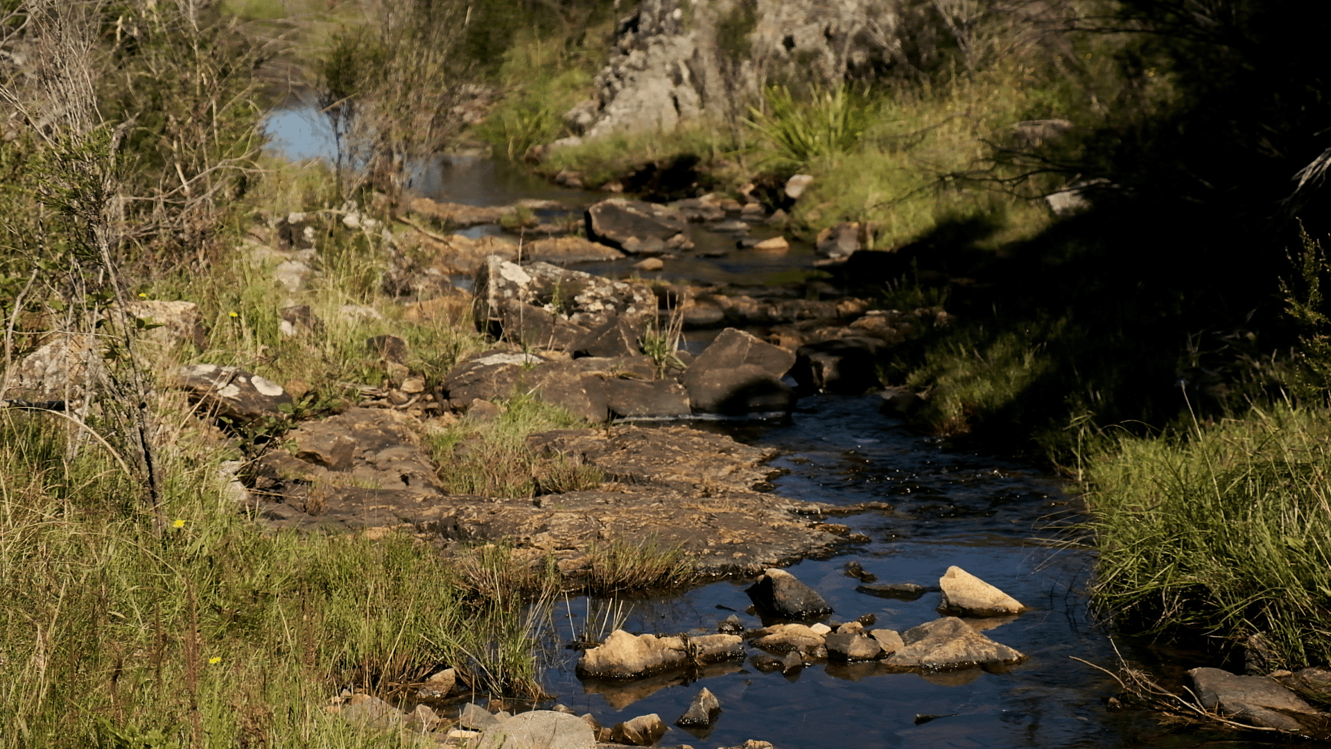 Sandholes Road, Braidwood, NSW 2622