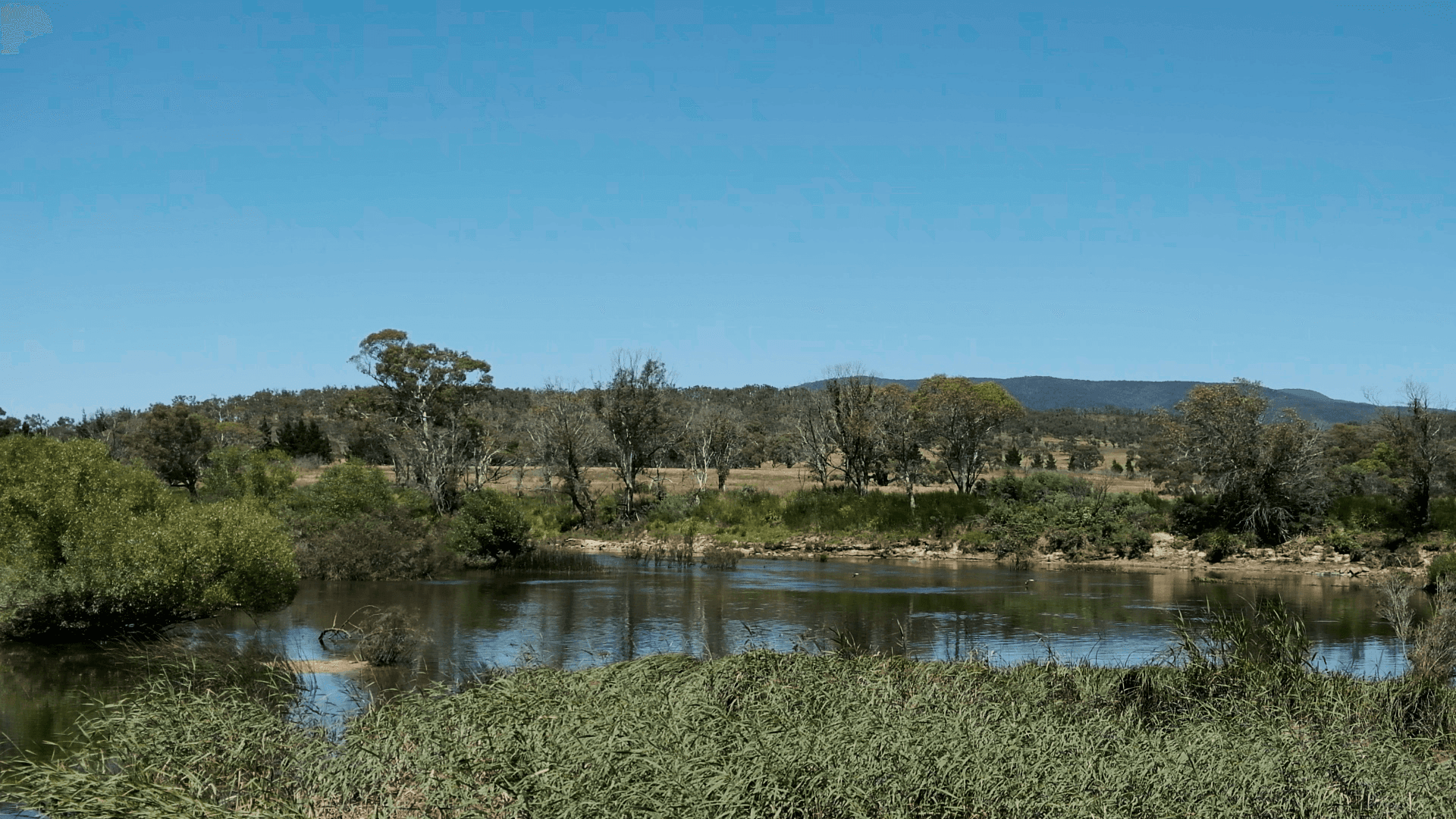 Sandholes Road, Braidwood, NSW 2622