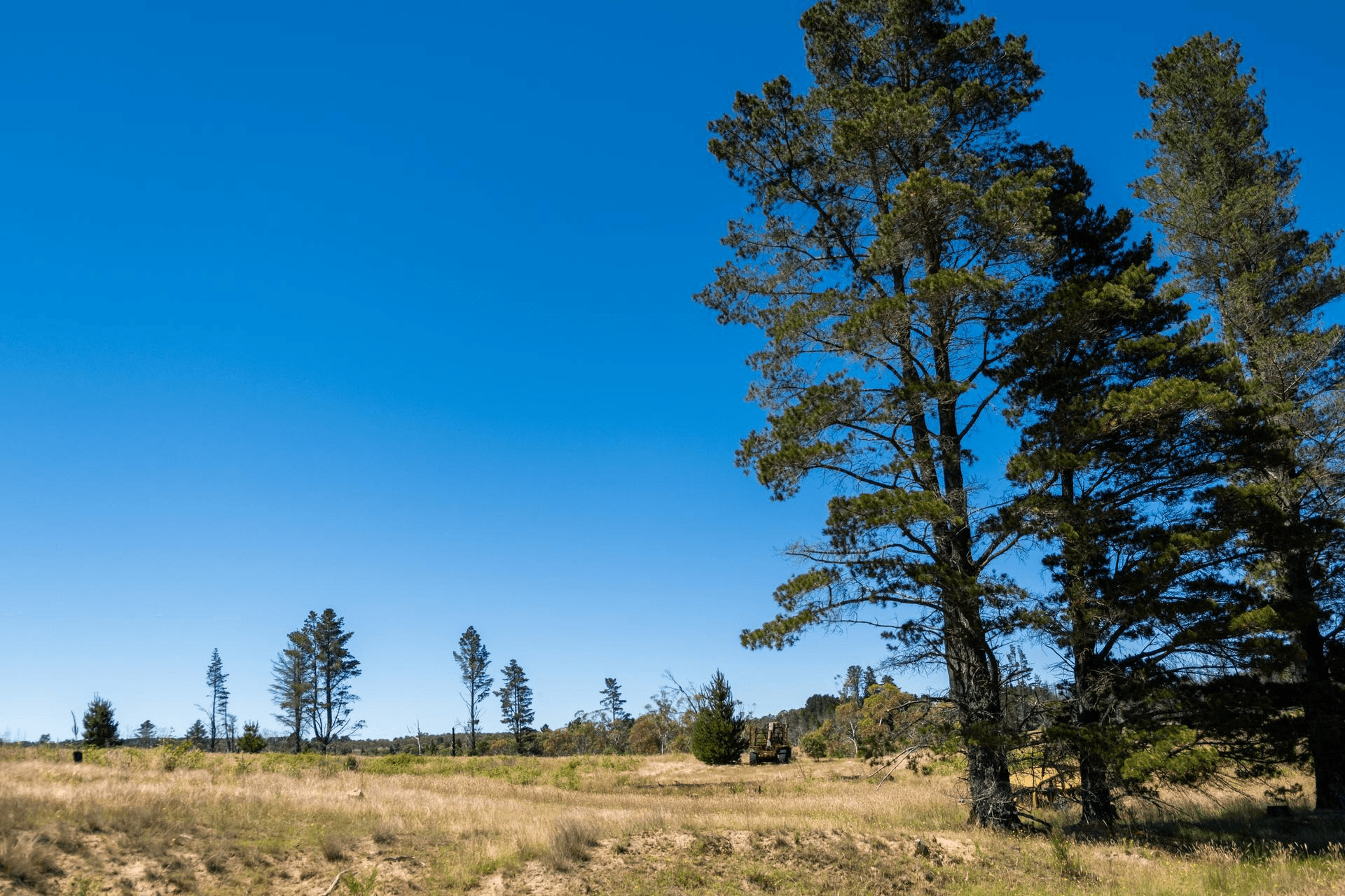 Sandholes Road, Braidwood, NSW 2622