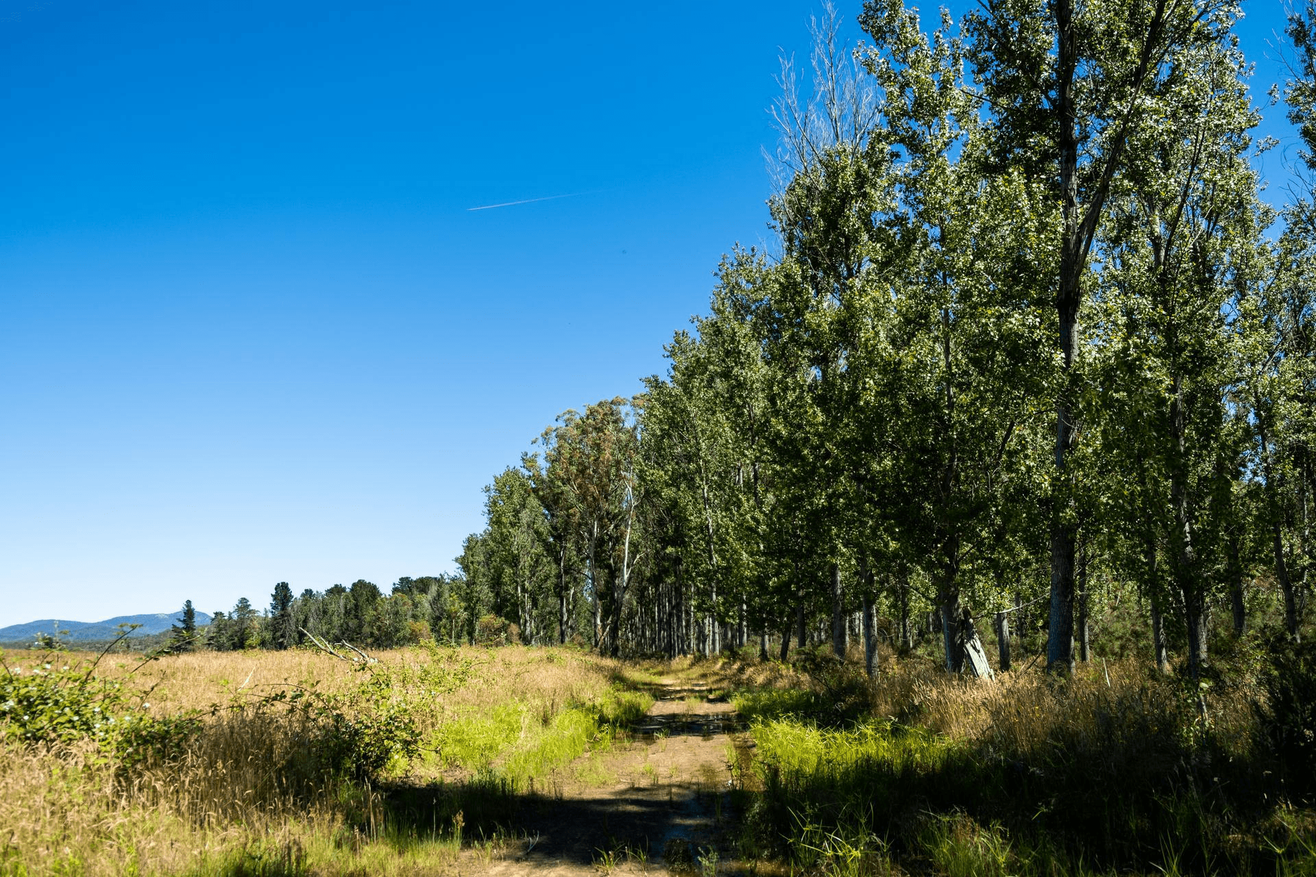 Sandholes Road, Braidwood, NSW 2622