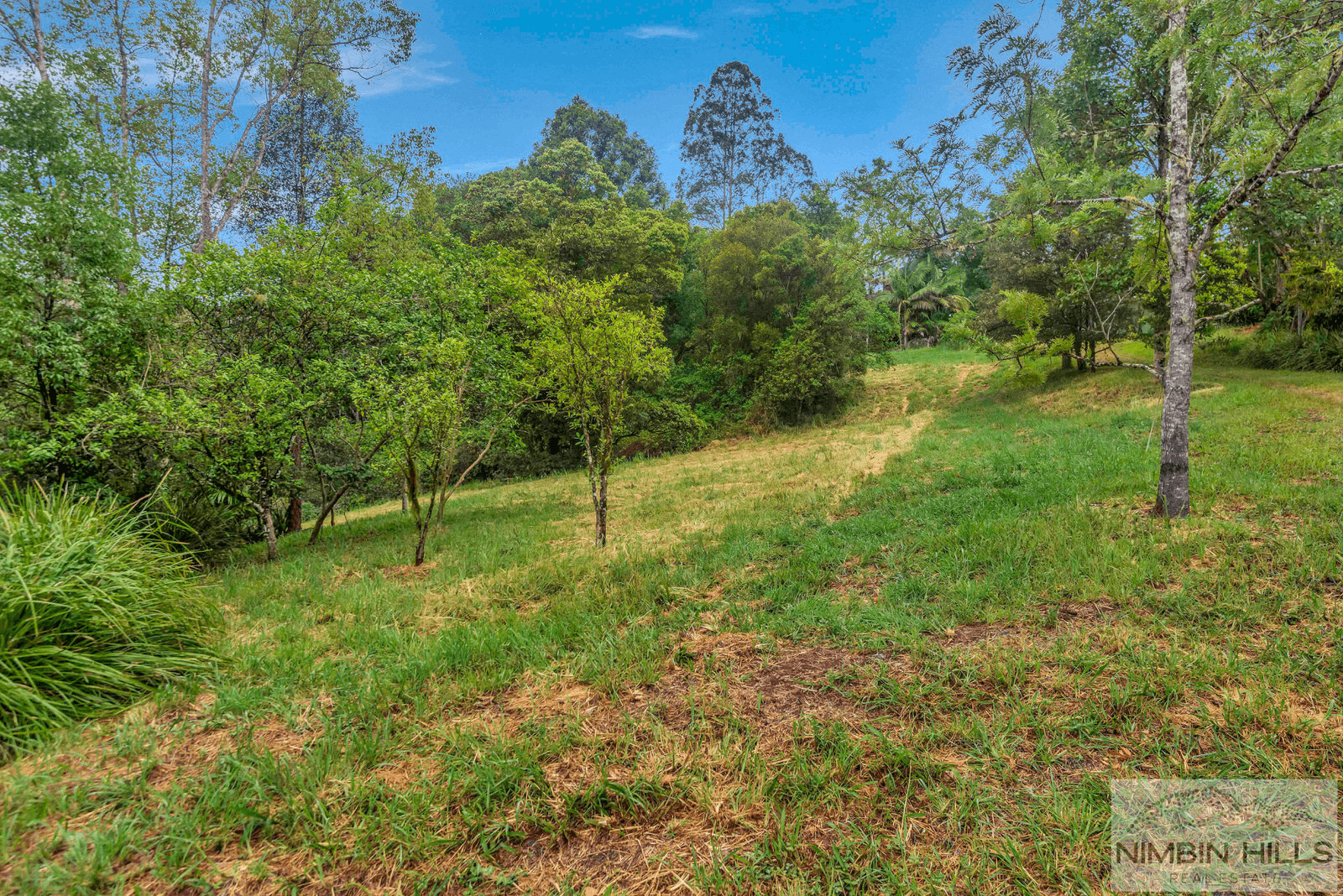 9 Black Road, TERANIA CREEK, NSW 2480
