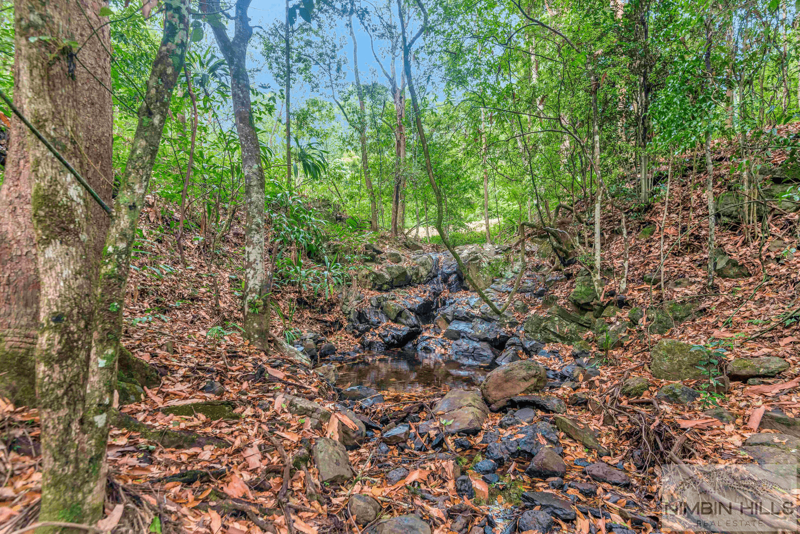 9 Black Road, TERANIA CREEK, NSW 2480