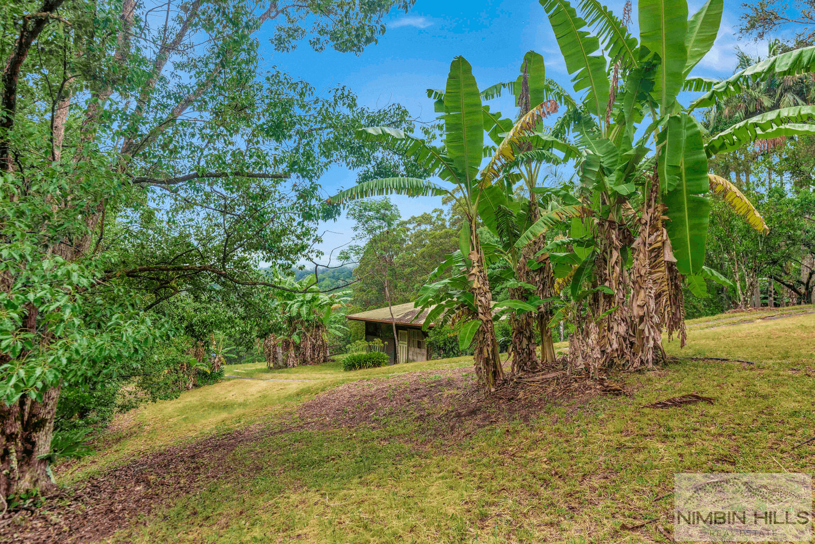 9 Black Road, TERANIA CREEK, NSW 2480