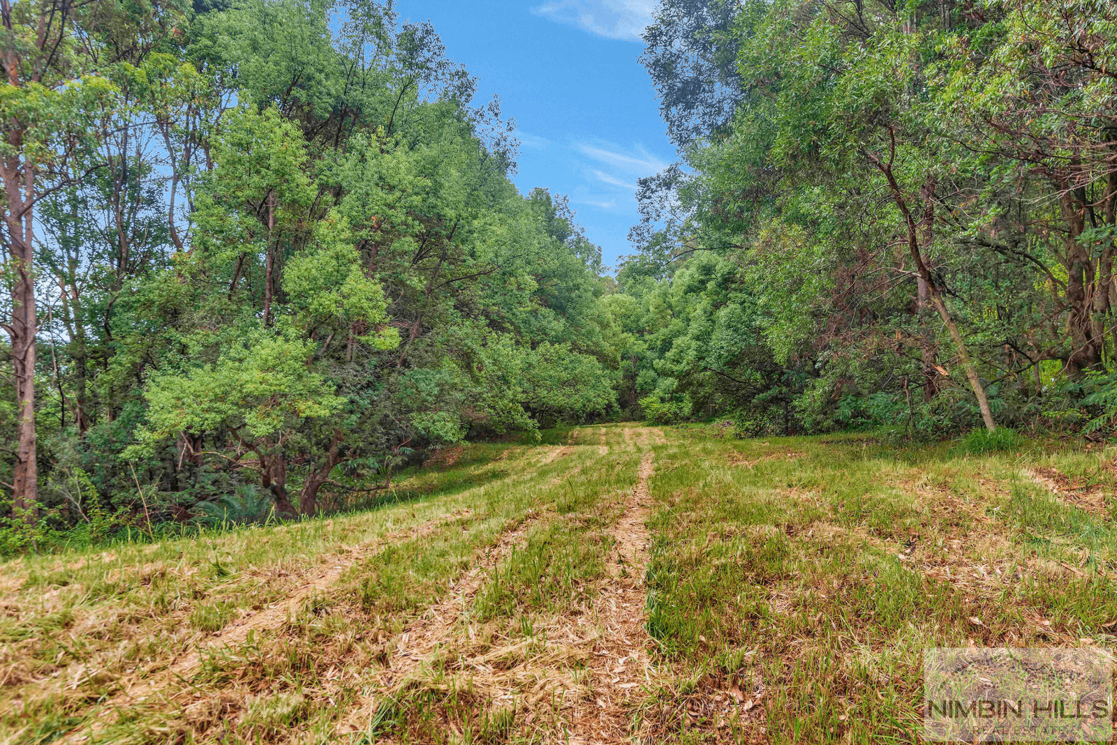 9 Black Road, TERANIA CREEK, NSW 2480