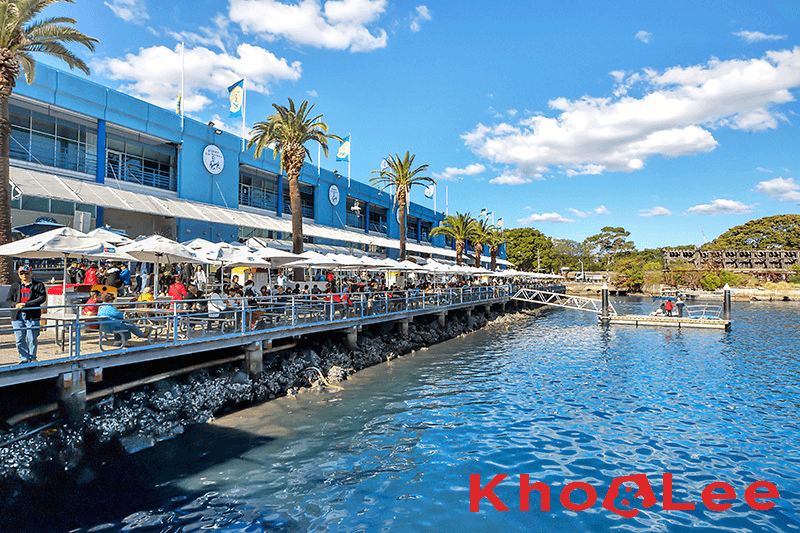 58/1-29 Bunn Street, Pyrmont, NSW 2009