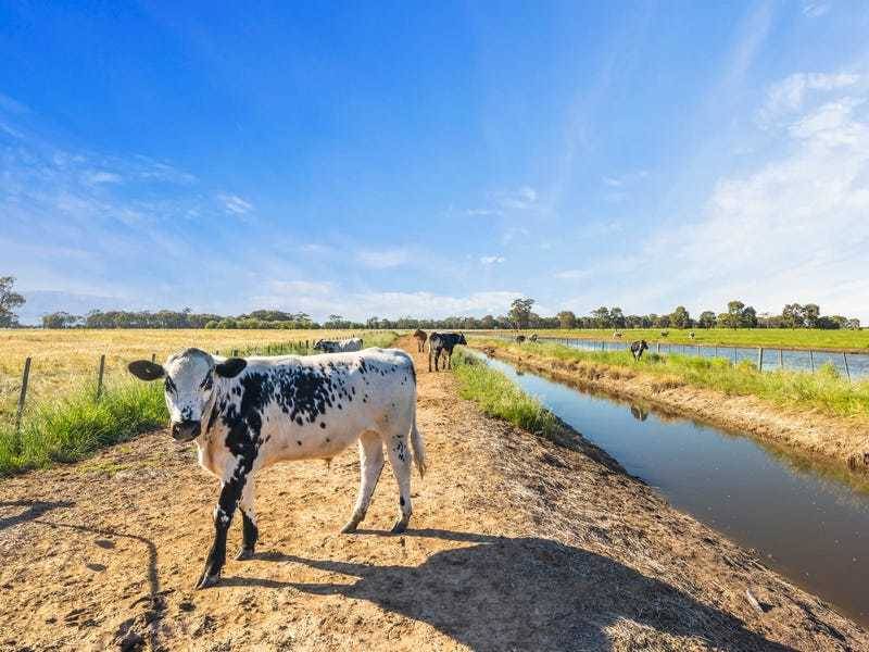 95 Mulcahy Road, Byrneside, VIC 3617