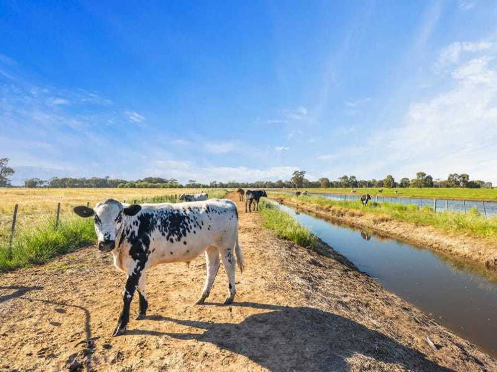 95 Mulcahy Road, Byrneside, VIC 3617