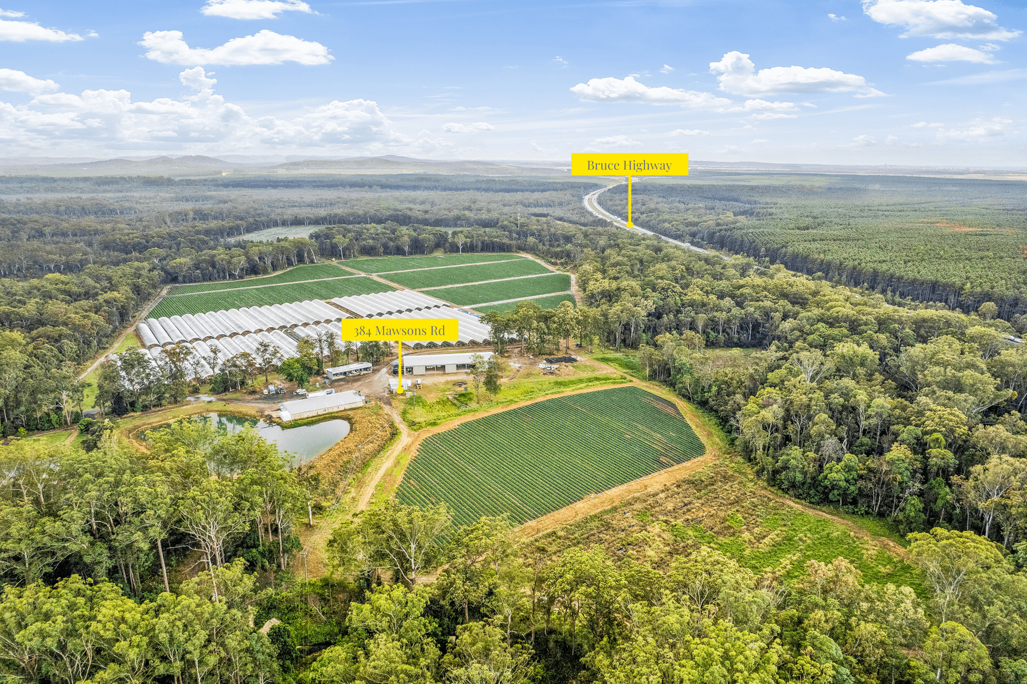 384 Mawsons Road, BEERWAH, QLD 4519