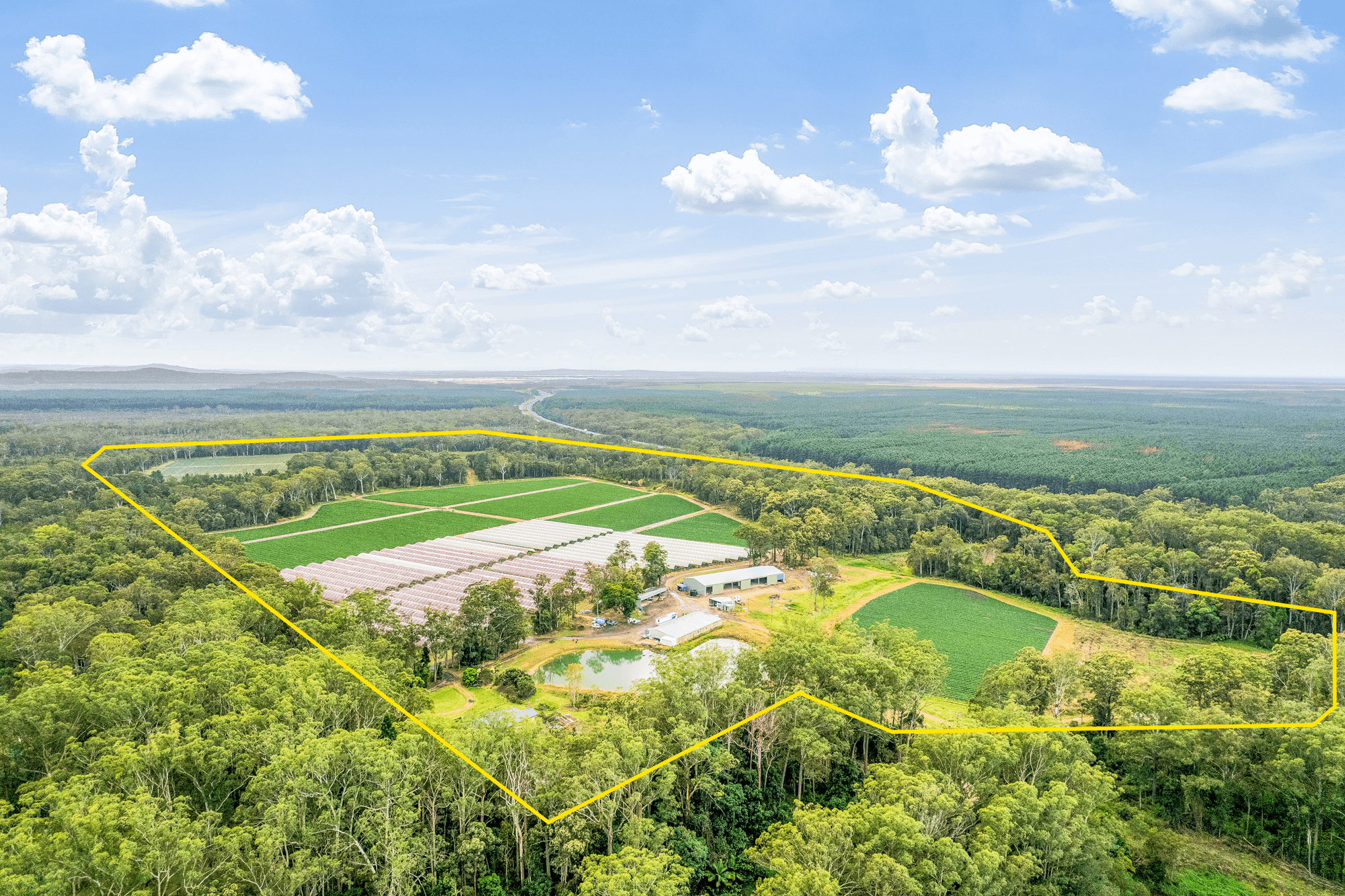 384 Mawsons Road, BEERWAH, QLD 4519
